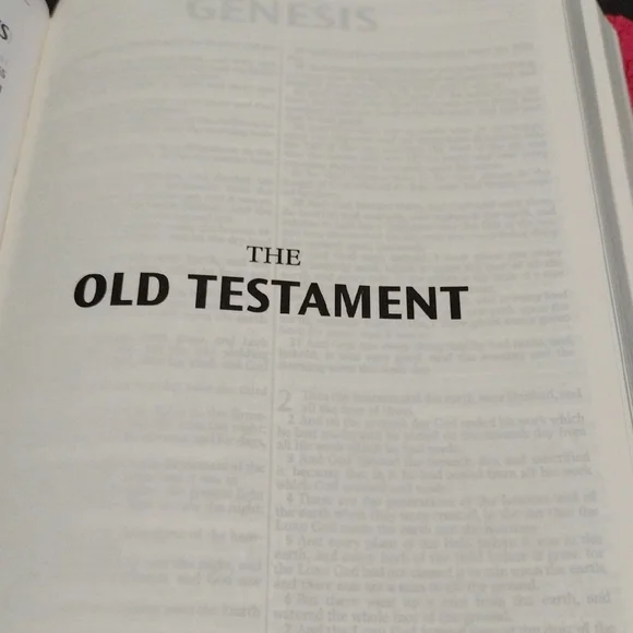 Pink Floral Embossed Holy Bible | Elegant Faith-Inspired Gift 🌸 - Picture 8 of 9